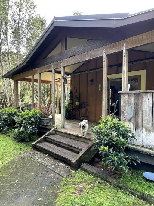 Oakura Pond Cottage - A Unique Kiwi Holiday Bach Exterior foto